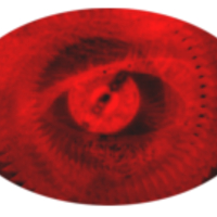 Profilbild Profilbild